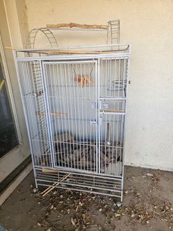 Bird Cage