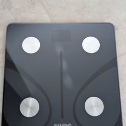 Body Weight Scale 