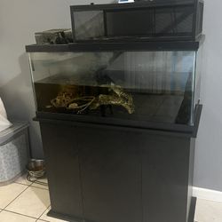 40 Gallon Fish Tank