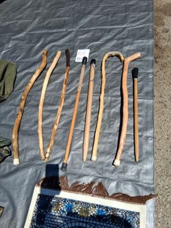 Walking sticks