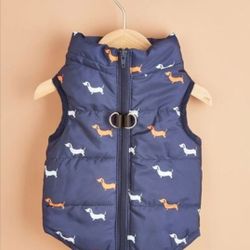 Size Small Or Medium Royal Blue Dog Print Jkt Available 