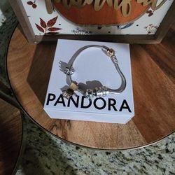 Pandora Large