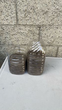 Loquat Root Enriched Soil 2 Gallon Bundle