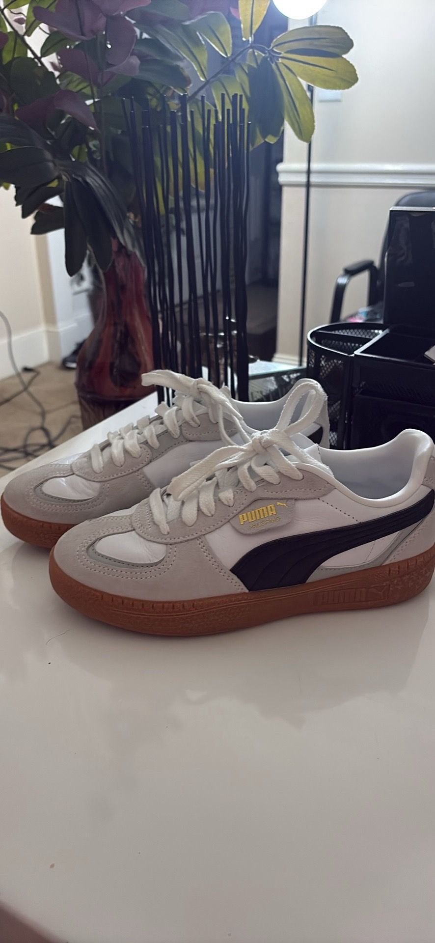 Puma