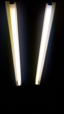 Light