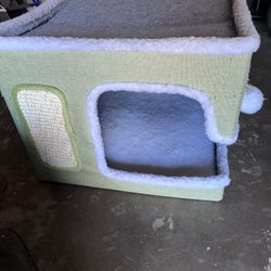 Cat house 