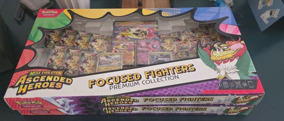 Ascended Heroes Focused Fighters