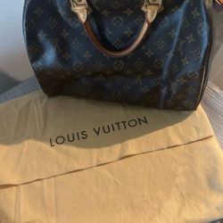 Louis Vuitton Bag
