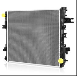 Radiator for ram