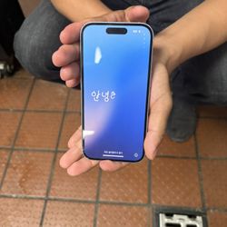 iPhone 15 