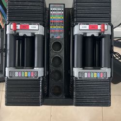 Powerblocks Weights With Stand