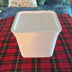 Stackable Brightroom Bin With Lid