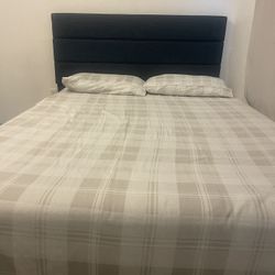 Queen Bed With Frame 