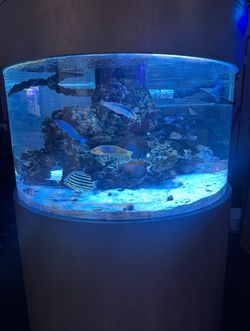 80 gallon acrylics cylinder Reef aquarium used