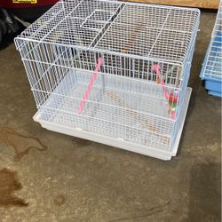 Birds Cage