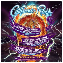 Cali Roots 3 Day Pass