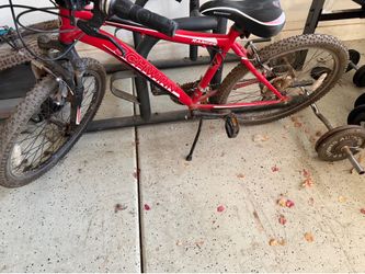 Kids schwinn bike