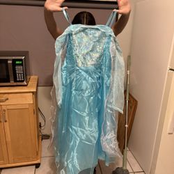 Brand New Elsa Costume  Never Been Worn 