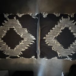 20x20 Indoor/Outdoor Pillows