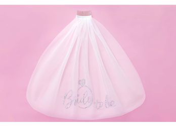 Bride to be Veil