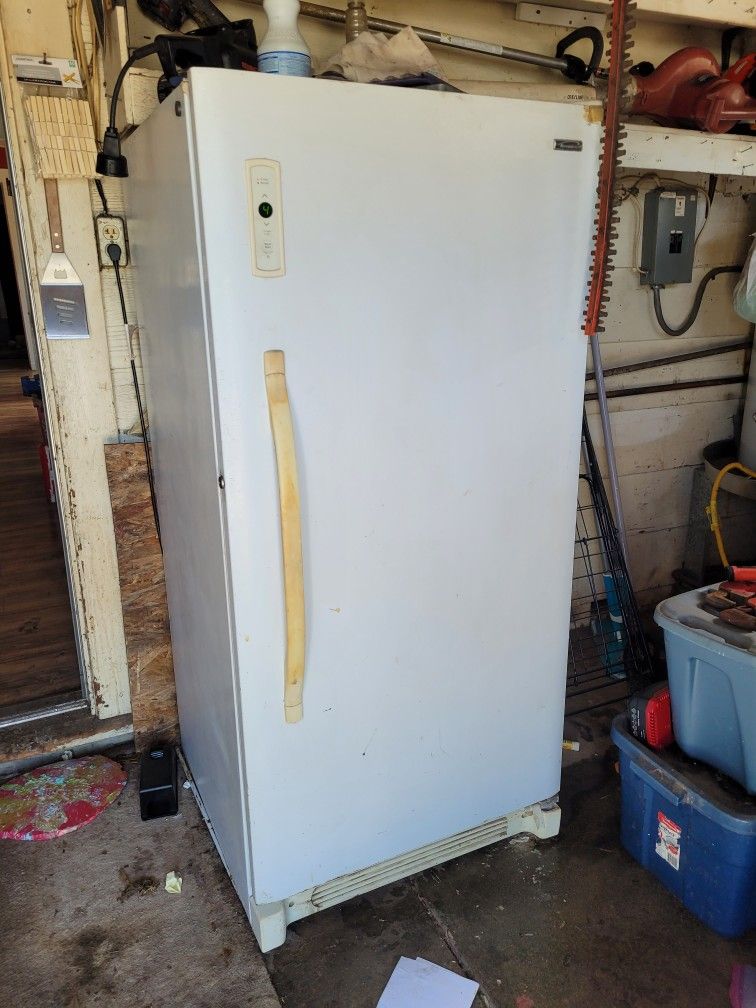 Stand Up Freezer