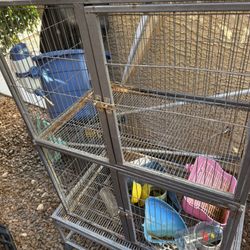 Rabbit Cage