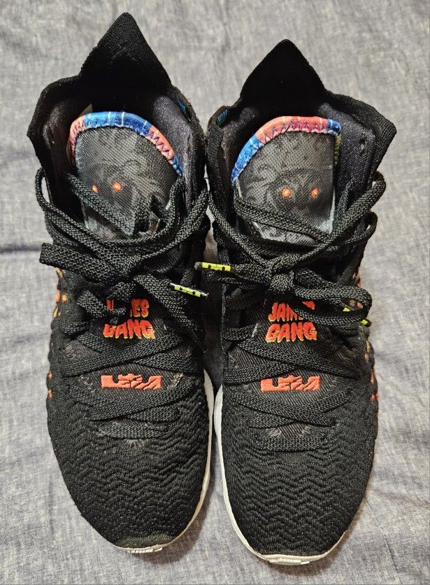 Used Nike LeBron 17 James Gang (BQ3177-005), Men's Size 8 (NO ORIGINAL BOX)