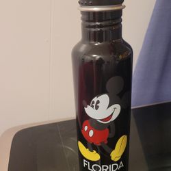 Disney Water Bottle 