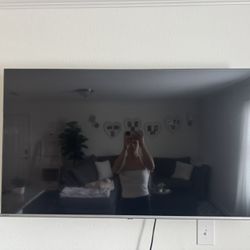 48in Toshiba Fire TV