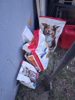 Dog N Cat Food