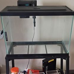 Pecera 10 Galones Con Accesorios FishTank
