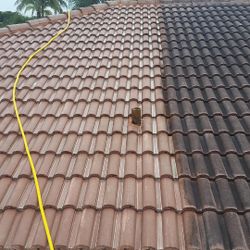 Roof Cleaning 