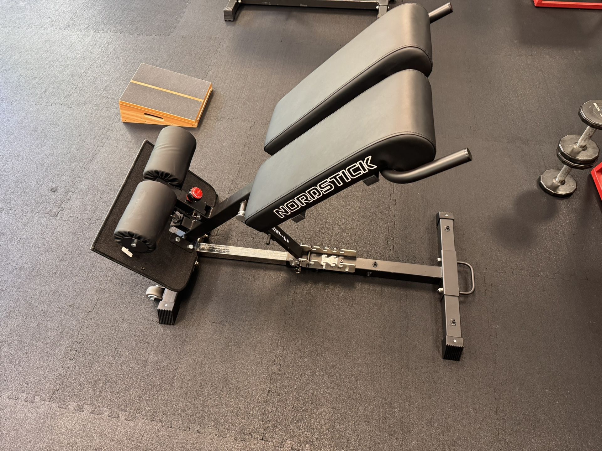 Nordstick Nordic Curl Back Extension Machine