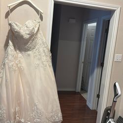 Sz 18 David’s Bridal Wedding Dress