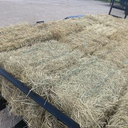 Hay Bales 