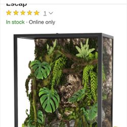 Terrarium 