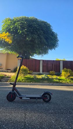 electric scooter