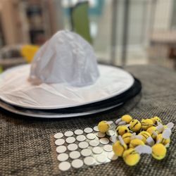 Two Beekeeper Hats (Halloween Costume) 