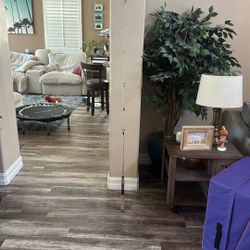 Mitchell Esprit Freshwater Spinning Rod 