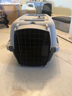Small Cat puppy pet carrier
