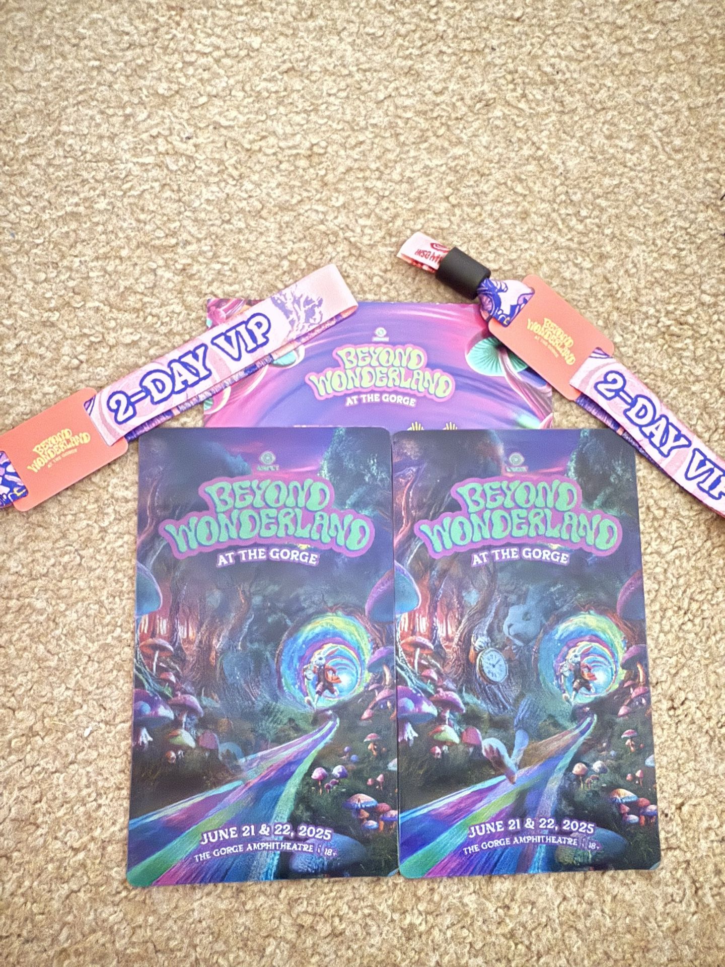Beyond Wonderland PNW at The Gorge 2025 VIP x 2