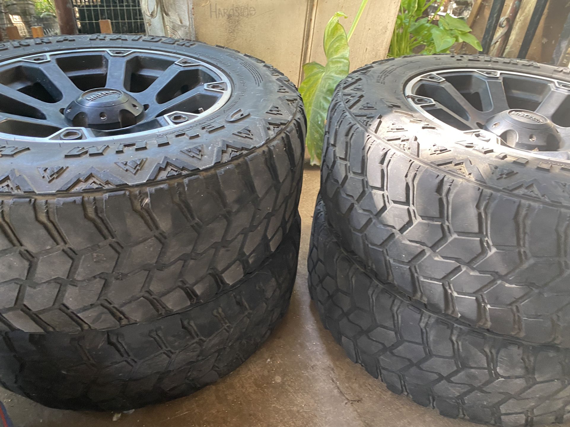 rims motor