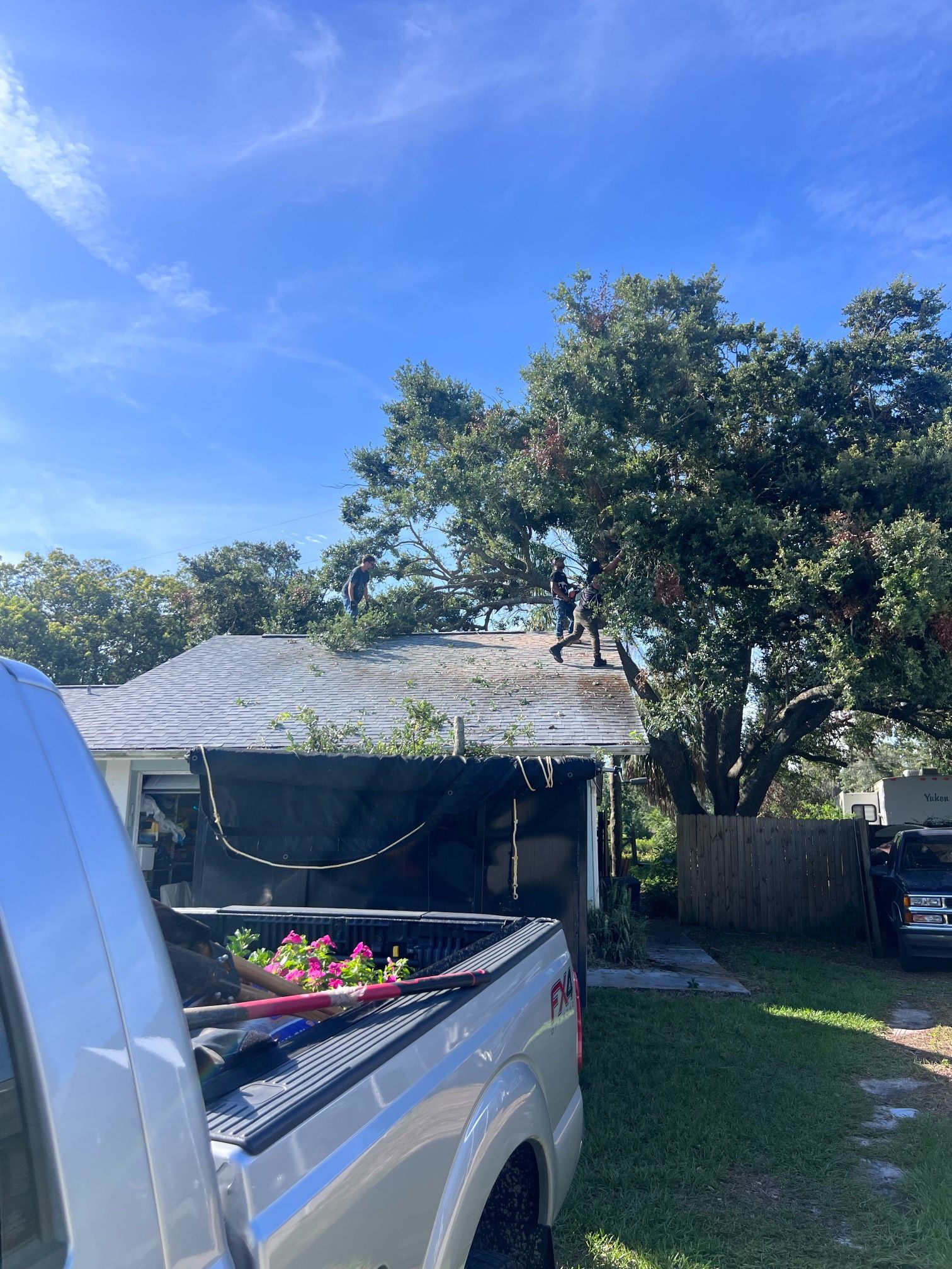 Dump Trailer For Sale