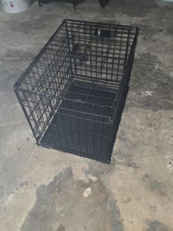 Kennel