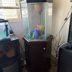 FISHTANK 