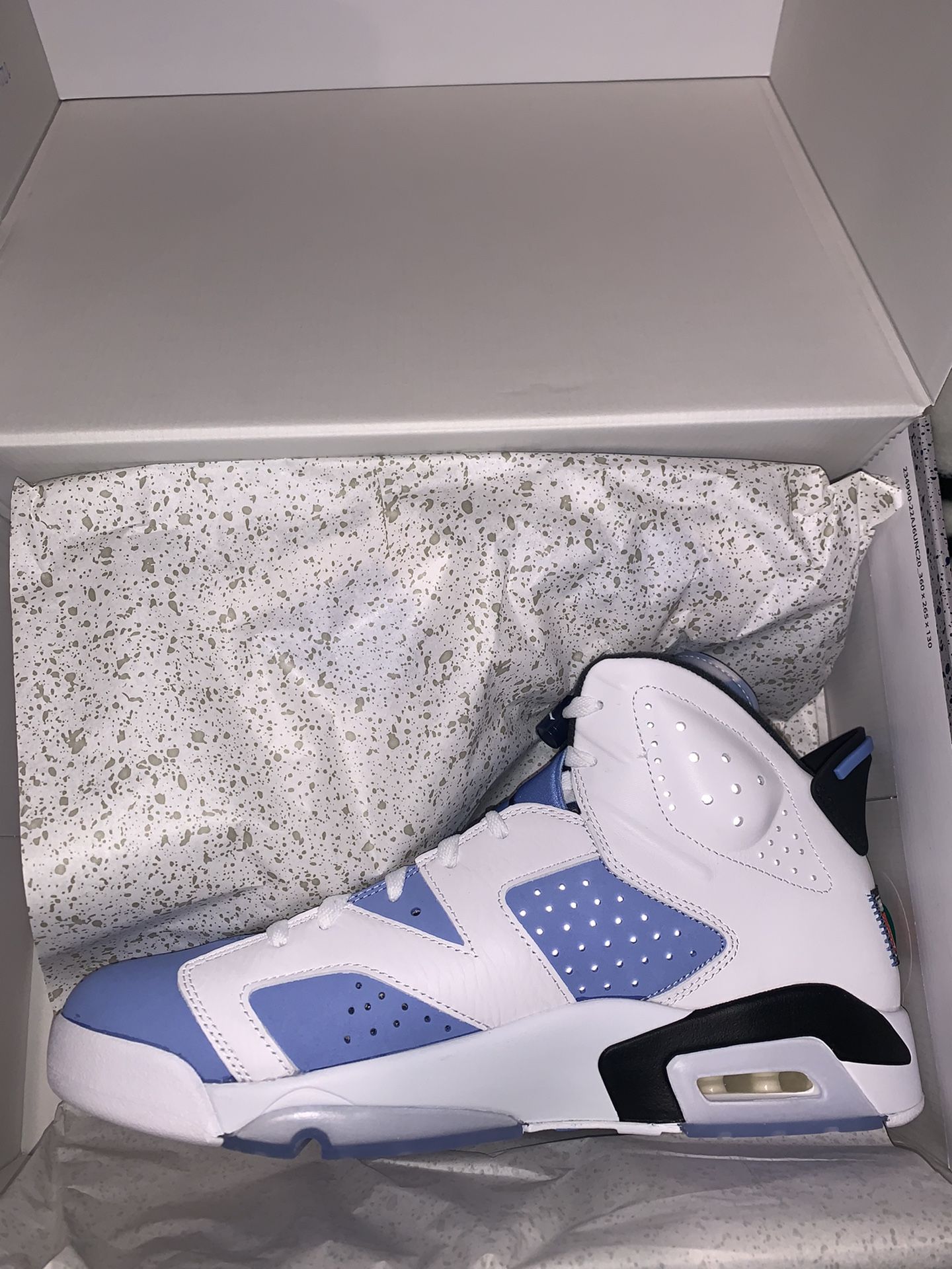 Jordan 6 UNC