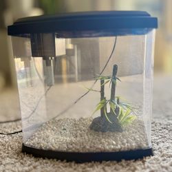 Aquarium Tank