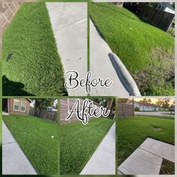 Home And Garden