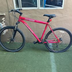 Stolen Bike 