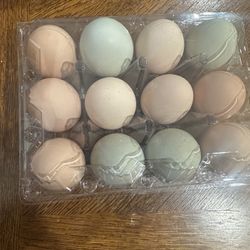 Eggs